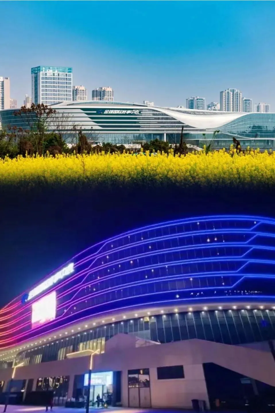 为什么篮球后卫需要特别的体能训练_1